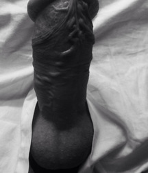 Just Dick 580fd6c60608d.jpg
