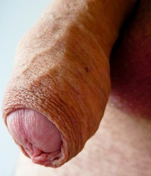 Uncut Guys 581d32a3ce426.jpg