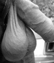 A Look at Guys Balls 5821c196ec8b7.jpg