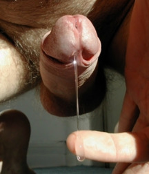 Sweet Precum! 5824e397cc15d.jpg