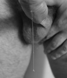 Sweet Precum! 5824e39d5045e.jpg