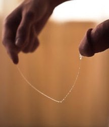 Sweet Precum! 5824e39fdd465.jpg