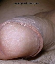 Cock Collection 5843b3ed4ed22.jpg
