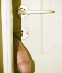 Close Up Shots 584d69f77014f.jpg