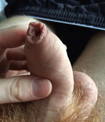 Uncut Boys Ony 58656056d248c.jpg