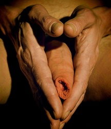The Uncut Penis 58677e0807719.jpg