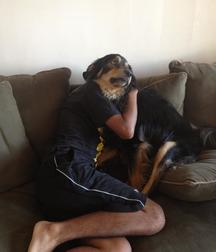 Cute Guys, Cats and Dogs 587264844f900.jpg