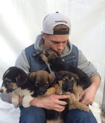 Cute Guys, Cats and Dogs 5872651e92b6f.jpg