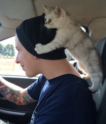 Cute Guys, Cats and Dogs 587267649a8ac.jpg