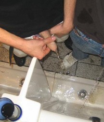 Everyday Guys in Every Way 58a0cb5a1bf0a.jpg