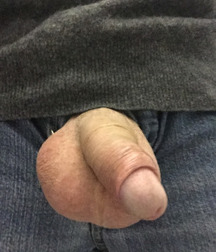 Cock, Every Size and Shape 58a0fad71b579.jpg
