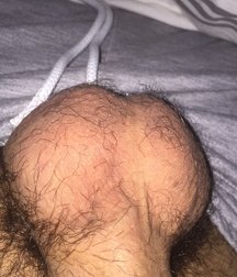 Cock Worship 58a84cba10413.jpg