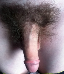 Sexy Hairy Bushes 58aa19622cd01.jpg