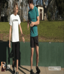 Blond Porn Star Series 58d486c9e7964.gif