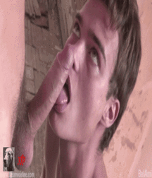 Gif Series 58d6a9d6658eb.gif