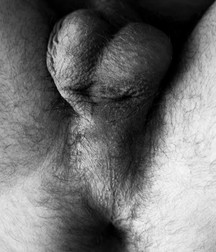 Butts & Balls 58d86e0ee0ea9.jpg