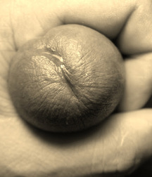 Pre-Cum Excitement 58dff34a7239b.jpg