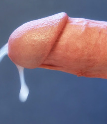 Airborn Cum - Many giffs 58dff421123b9.jpg