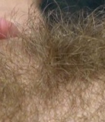Sexy Boy Bushes  58e4216486503.jpg