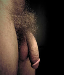Sexy Boy Bushes  58e4216727b0c.jpg