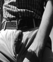 All Dick 58fd752f029fb.gif