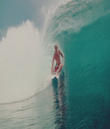 Sights at the Pool & Beach 5906090063ccf.gif