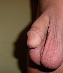Just Balls. Low Hangers 590be17c77336.jpg
