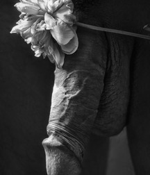 Gay Art 59376c652ddc6.jpg