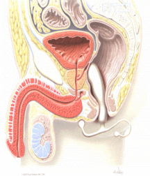 Variety of Collected Images 59602ae7e843f.gif