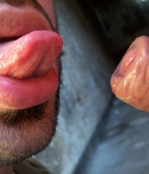 Suck, Lick, Kiss ans Oral 597557b0b6ad9.jpg