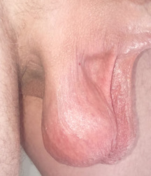 The File on Balls 59985760806c0.jpg