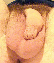 The File on Balls 5998576818b4a.jpg