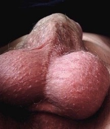 Sexy Men 59a762efc6a32.jpg