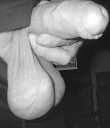 My Ball Collection 59ab2f9d78581.jpg