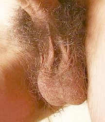 Cum & Cumming 59ab3220bac2d.jpg