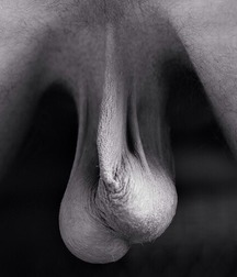 Cum & Cumming 59ab322959767.jpg