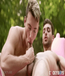Cocksucking 59ab7ae778568.gif