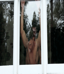 Everyday People & Humor 59acad563d72d.gif