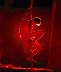 Fun Stuff 59e09514eba71.gif