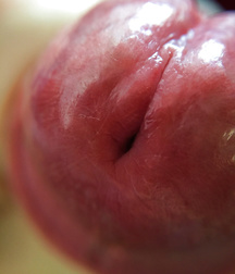 All Kinds of Dick 5a163db76d1bc.jpg