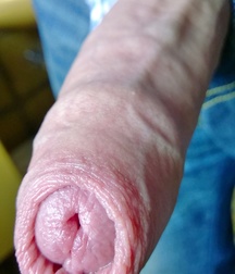 All Kinds of Dick 5a163db9ab237.jpg