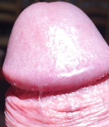 All Kinds of Dick 5a163dbd85fd9.jpg