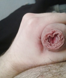All Kinds of Dick 5a163dc53c00b.jpg