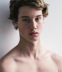 Shirtless Wonder Boys 5a2c2608d9bbc.jpeg
