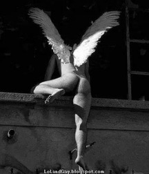 Just Fun Stuff 5a33a493e1c40.jpg
