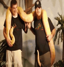 Just Fun Stuff 5a33a4b05e823.gif