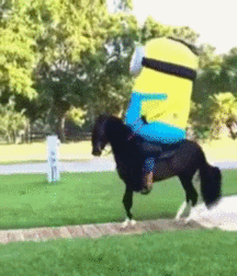 Just Fun - Outdoors 5a34839bed181.gif