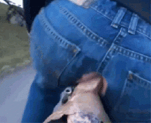 Just Fun - Outdoors 5a3483b06d1c3.gif