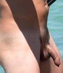 Assortment of Dick 5a3734b18ce10.jpg