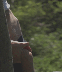 Assortment of Dick 5a3734b96fd2b.gif